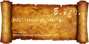 Bálinth Ádám névjegykártya